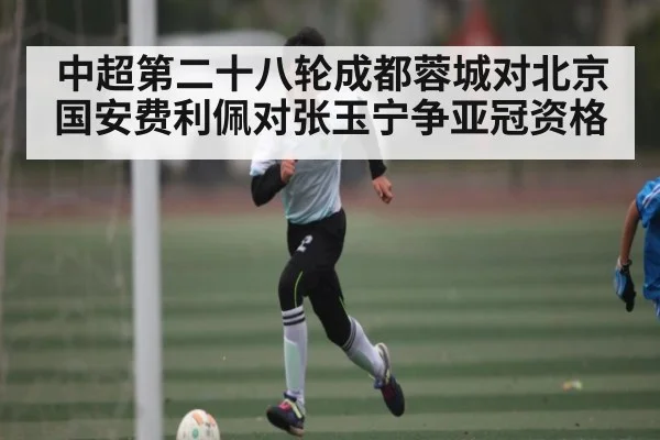 中超第二十八轮成都蓉城对北京国安费利佩对张玉宁争亚冠资格